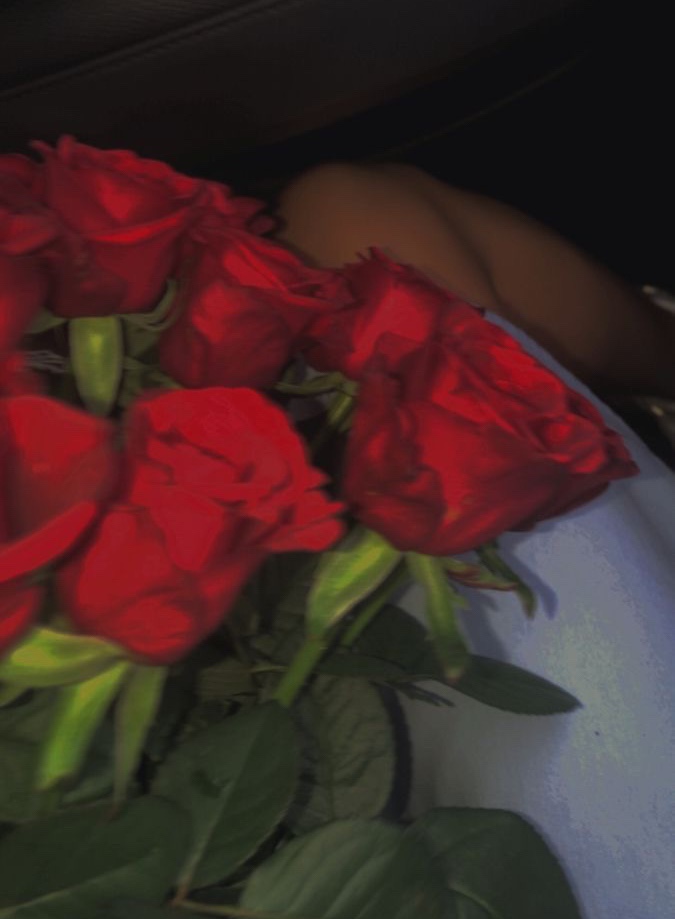 Red Roses 