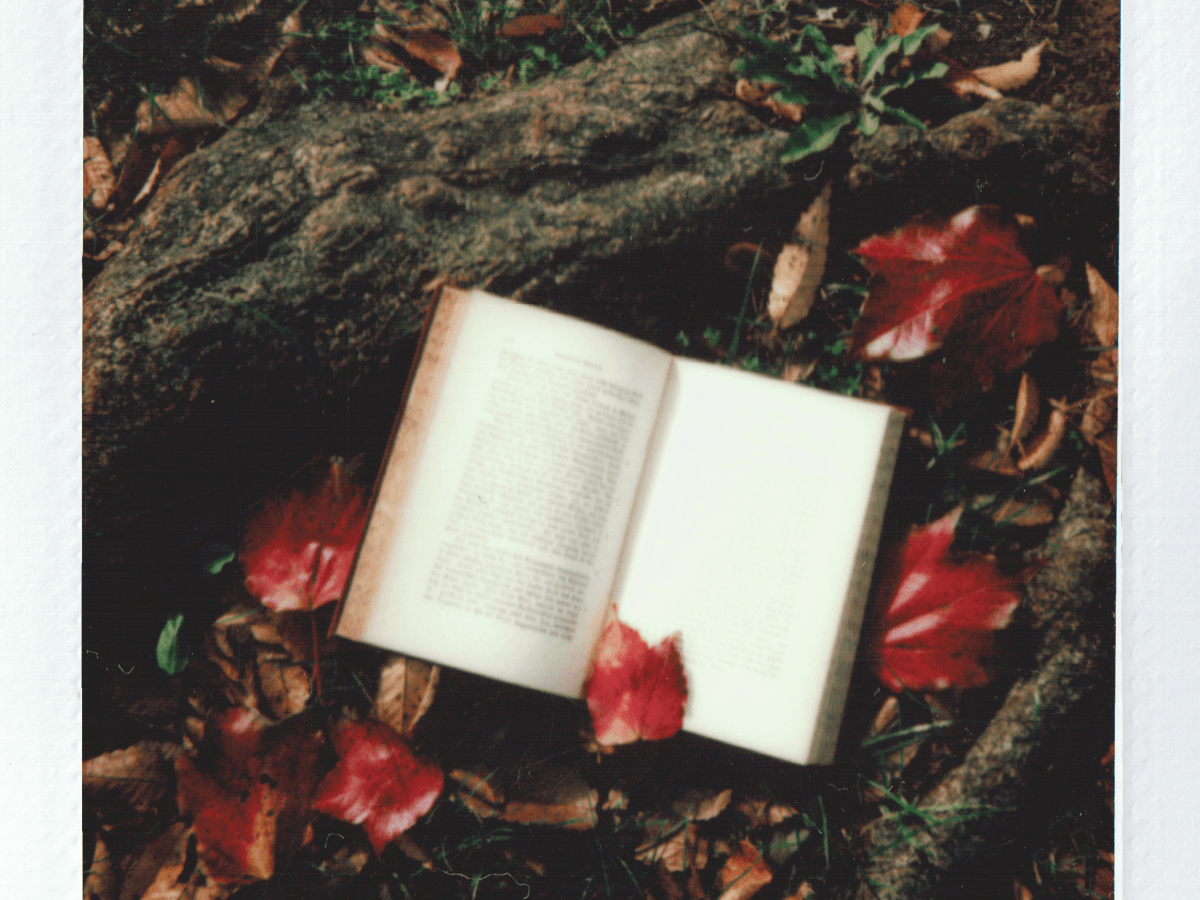 Welcome To The Book&nbsp;Club