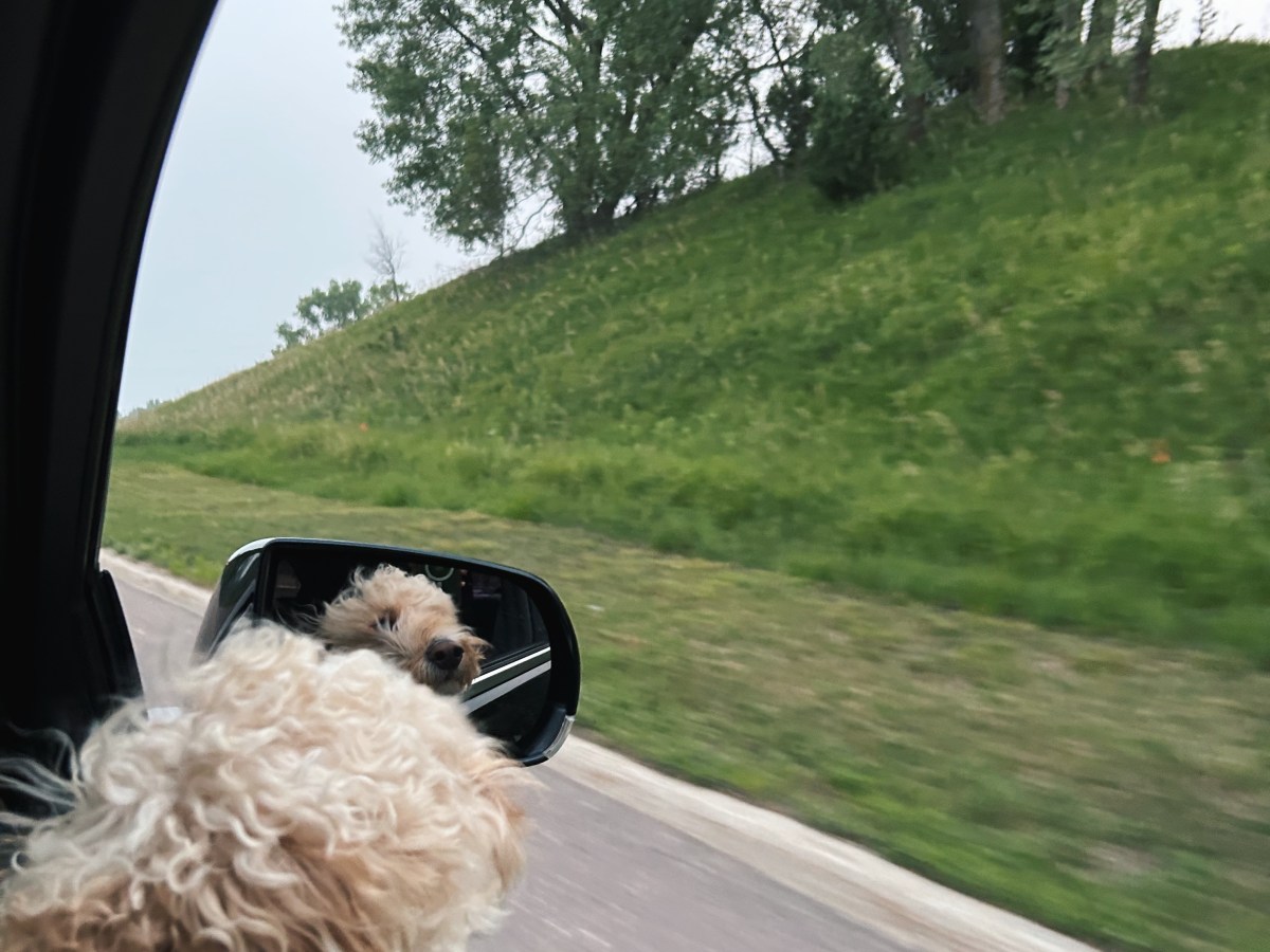 Hidden Feelings-I Burned His Love Letters-“She Isn’t&nbsp;You”