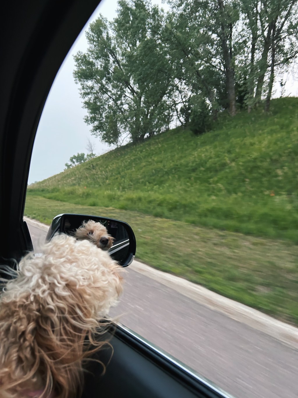 Hidden Feelings-I Burned His Love Letters-“She Isn’t&nbsp;You”